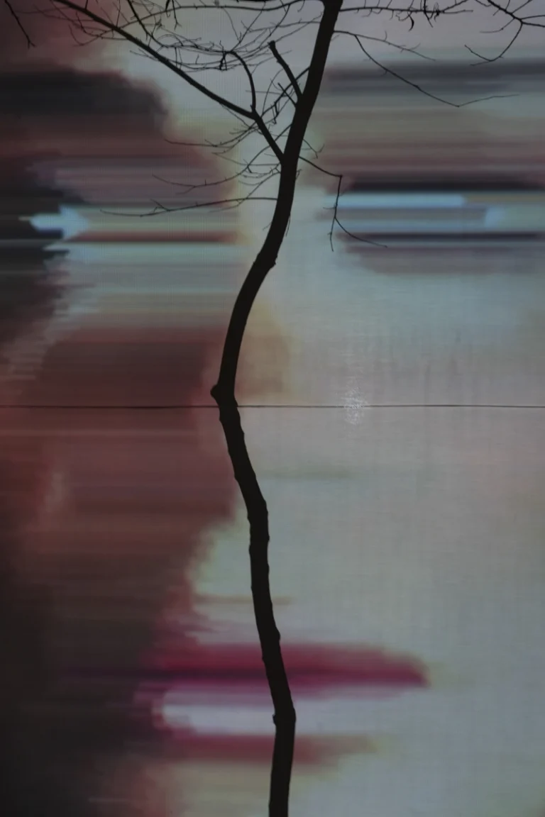 Call Me By Name by Mohammad Parvizi, award-winning photographer based in Dubai, GCC, Deed Studio.