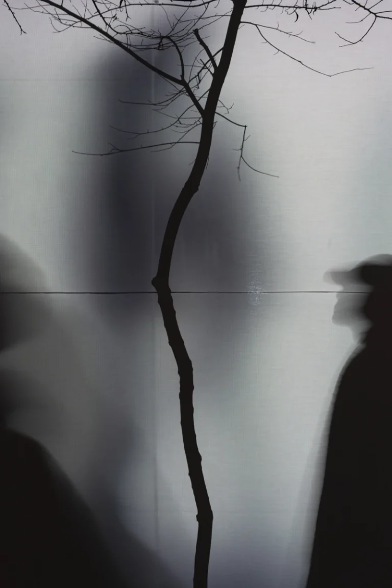 Call Me By Name by Mohammad Parvizi, award-winning photographer based in Dubai, GCC, Deed Studio.