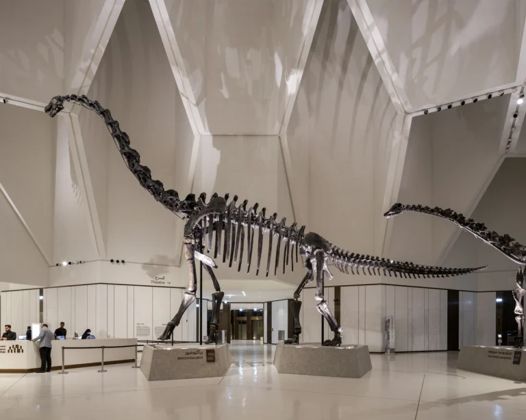 Award-winning, Dubai-based DEED Studio photograph of the Natural History Museum Abu Dhabi, designed by Mecanoo, in Abu Dhabi