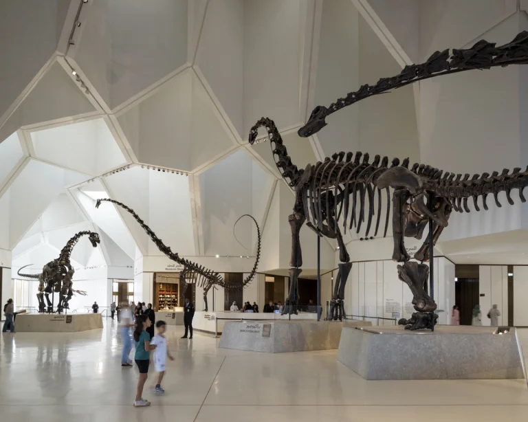 Award-winning, Dubai-based DEED Studio photograph of the Natural History Museum Abu Dhabi, designed by Mecanoo, in Abu Dhabi