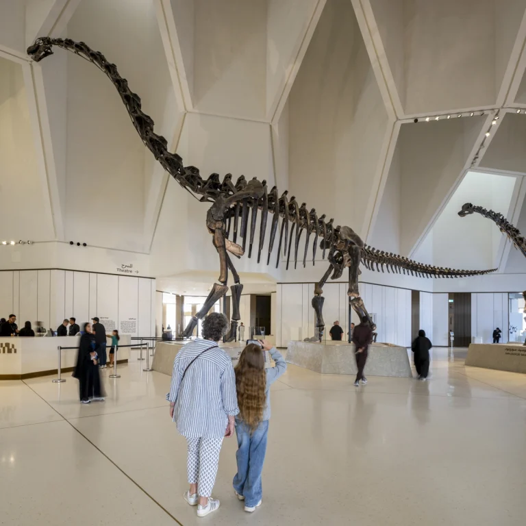 Award-winning, Dubai-based DEED Studio photograph of the Natural History Museum Abu Dhabi, designed by Mecanoo, in Abu Dhabi