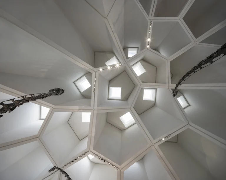 Award-winning, Dubai-based DEED Studio photograph of the Natural History Museum Abu Dhabi, designed by Mecanoo, in Abu Dhabi