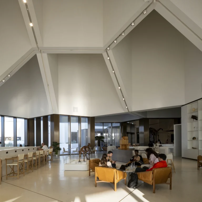 Award-winning, Dubai-based DEED Studio photograph of the Natural History Museum Abu Dhabi, designed by Mecanoo, in Abu Dhabi