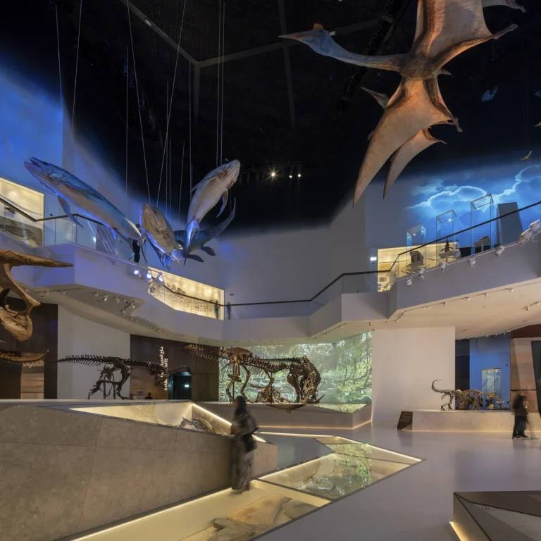 Natural History Museum Abu Dhabi photographed by award-winning Dubai-based DEED Studio
