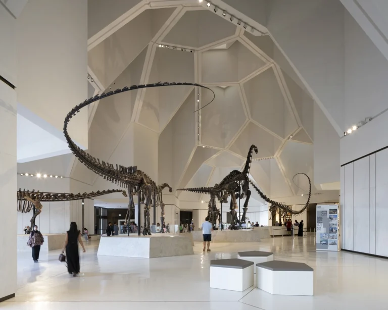 Natural History Museum Abu Dhabi photographed by award-winning Dubai-based DEED Studio