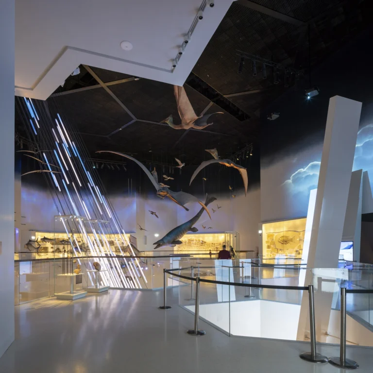 Natural History Museum Abu Dhabi photographed by award-winning Dubai-based DEED Studio