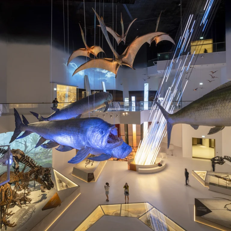 Natural History Museum Abu Dhabi photographed by award-winning Dubai-based DEED Studio