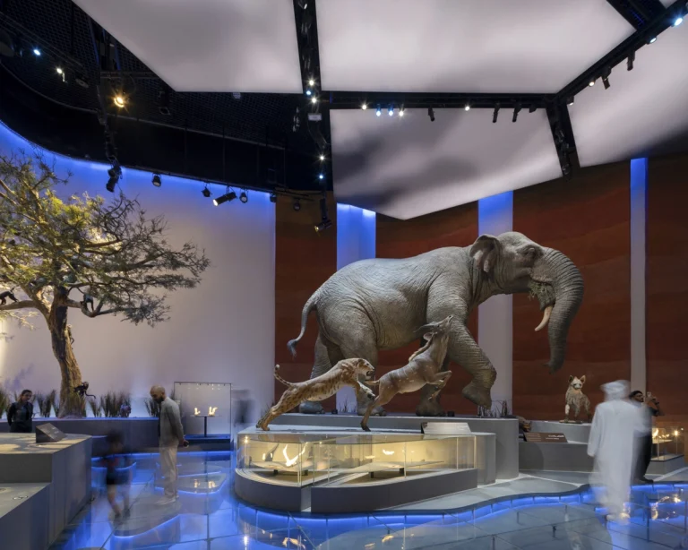 Natural History Museum Abu Dhabi photographed by award-winning Dubai-based DEED Studio