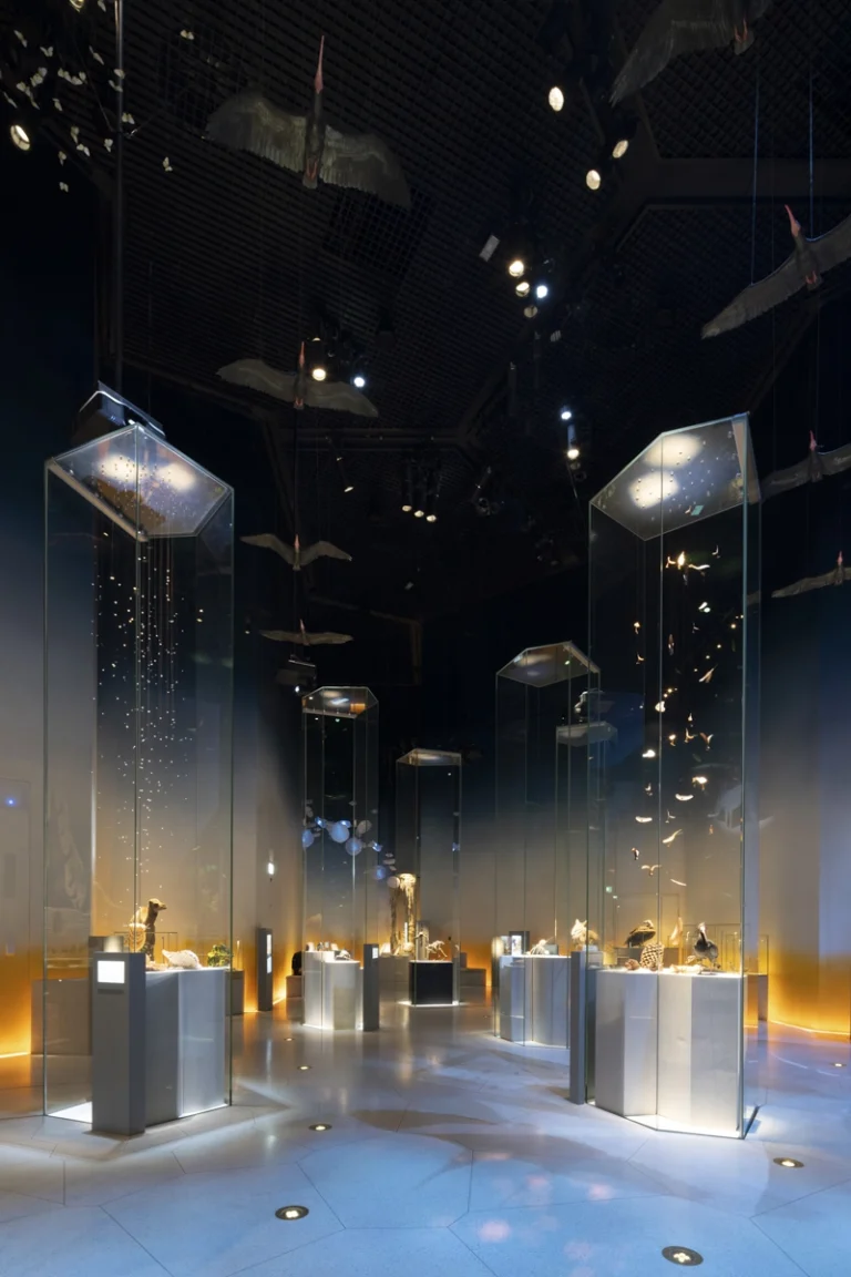 Natural History Museum Abu Dhabi photographed by award-winning Dubai-based DEED Studio