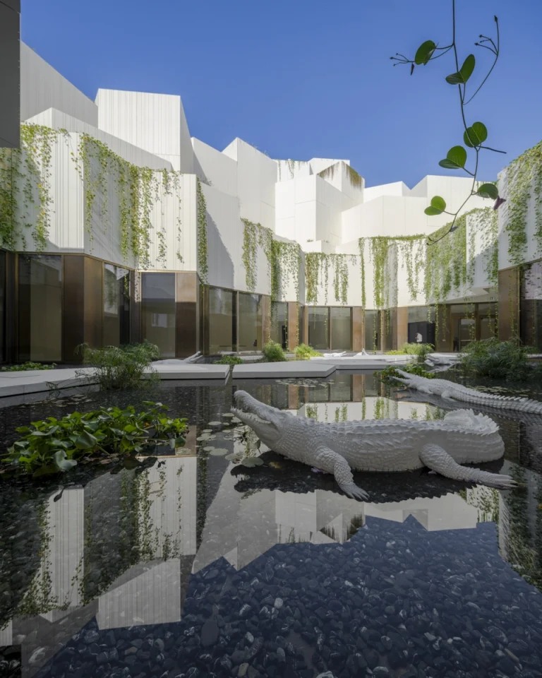 Award-winning, Dubai-based DEED Studio photograph of the Natural History Museum Abu Dhabi, designed by Mecanoo, in Abu Dhabi