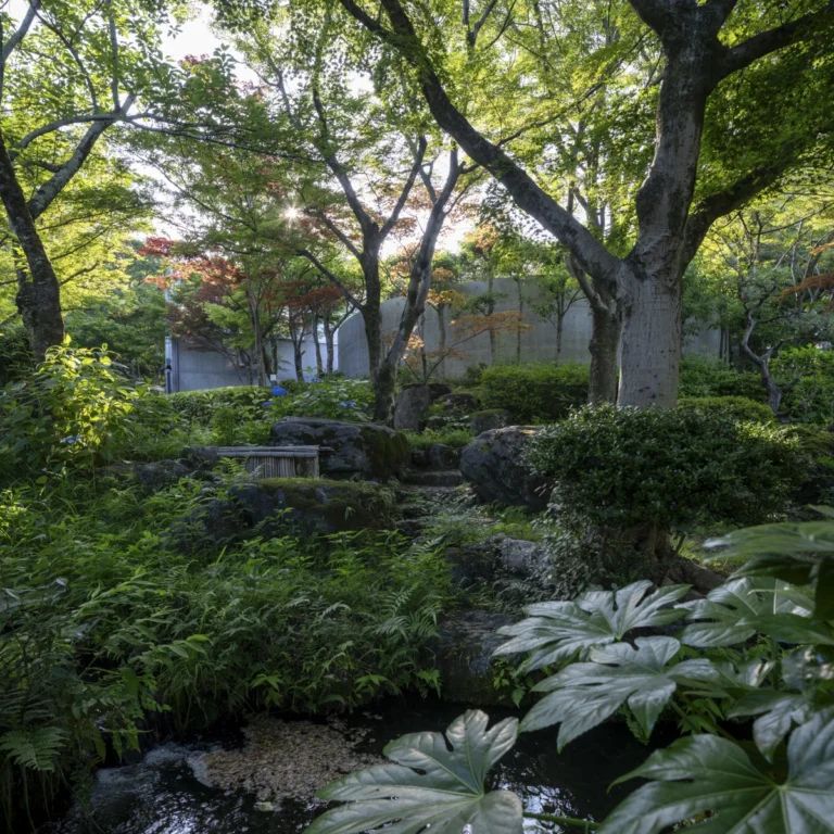 Architectural view of Asahi Beer Oyamazaki Villa Museum of Art in Osaka by Tadao Ando, photographed by award-winning Deed Studio, emphasizing the interplay of natural light, exposed concrete, and minimal form