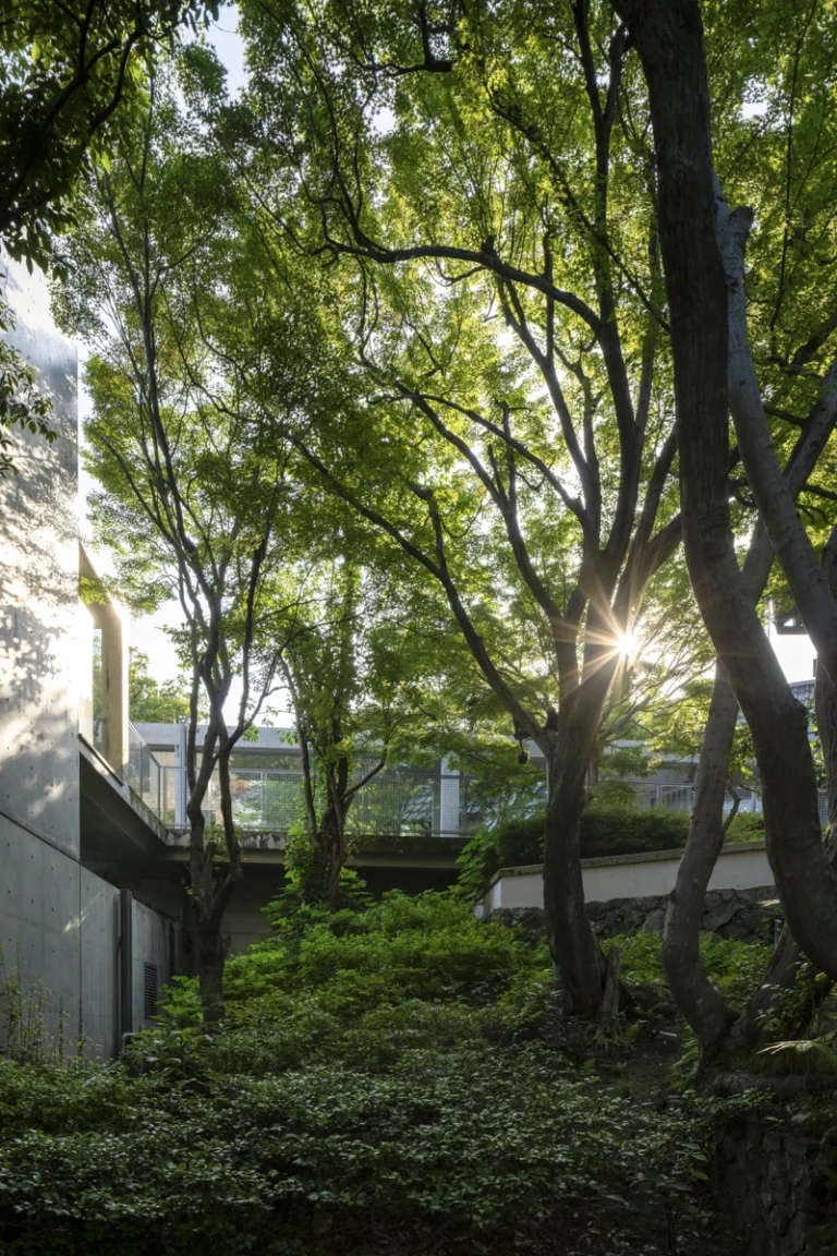 Architectural view of Asahi Beer Oyamazaki Villa Museum of Art in Osaka by Tadao Ando, photographed by award-winning Deed Studio, emphasizing the interplay of natural light, exposed concrete, and minimal form