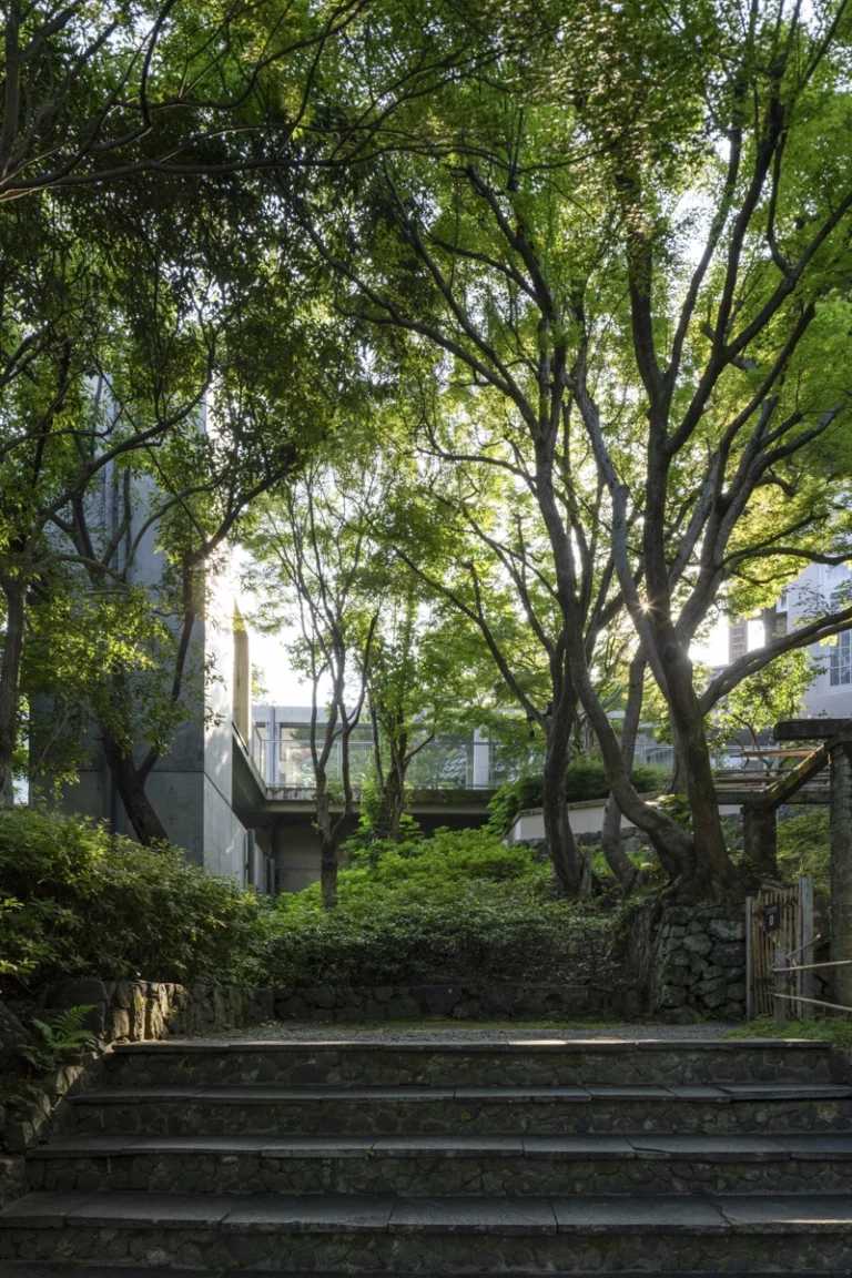 Architectural view of Asahi Beer Oyamazaki Villa Museum of Art in Osaka by Tadao Ando, photographed by award-winning Deed Studio, emphasizing the interplay of natural light, exposed concrete, and minimal form