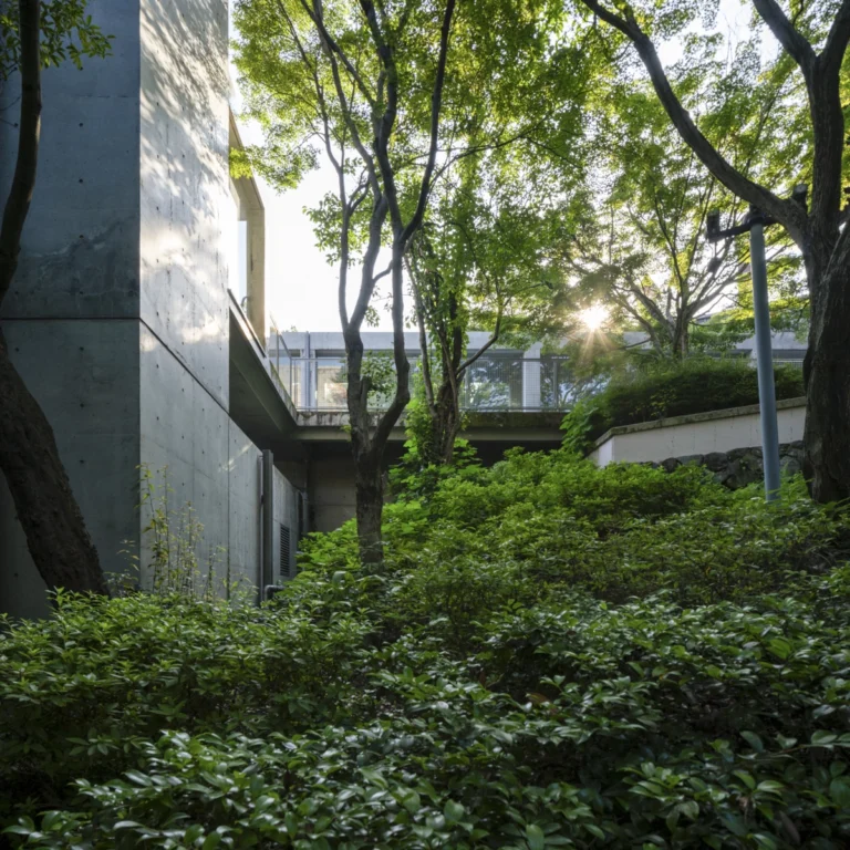 Architectural view of Asahi Beer Oyamazaki Villa Museum of Art in Osaka by Tadao Ando, photographed by award-winning Deed Studio, emphasizing the interplay of natural light, exposed concrete, and minimal form