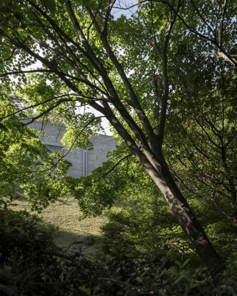 Deed Studio, an award-winning architecture photography studio based in Dubai and the GCC, captures the Koshino House by Tadao Ando—a minimalist concrete home set into a wooded hillside, defined by curved and rectilinear forms and soft natural light filtering through narrow skylights