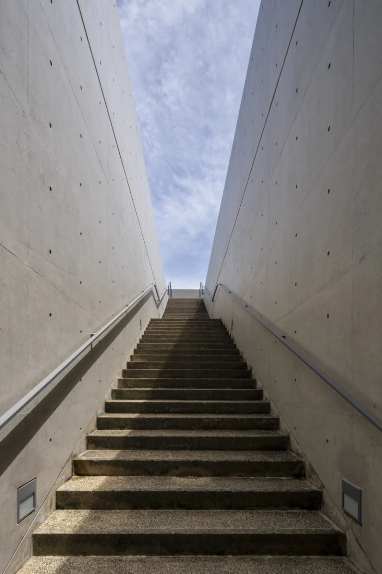 Water Temple in Awaji, Japan designed by Tadao Ando, with a circular lotus pond concealing an underground sanctuary, emphasizing minimalism and spatial sequence.39