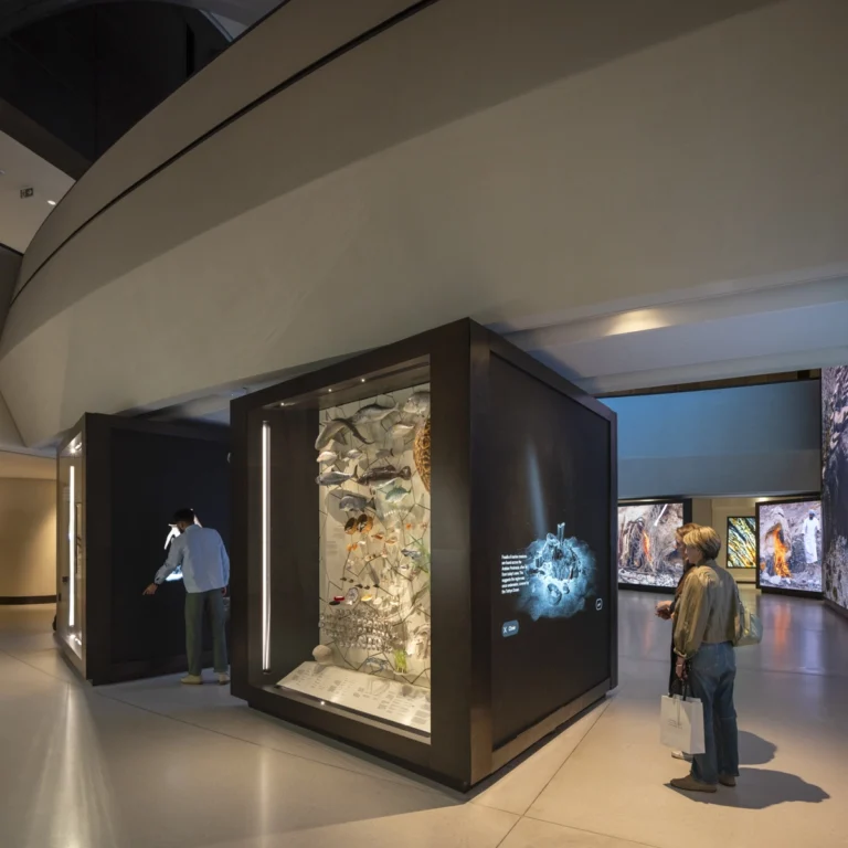 Zayed National Museum in Abu Dhabi photographed by award-winning, Dubai-based DEED Studio