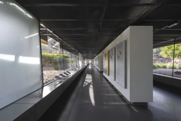 Wasit Wetland Centre in Sharjah, UAE, photographed by Deed Studio, an award-winning Dubai-based architectural photography studio serving the GCC.