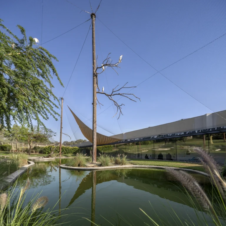 Wasit Wetland Centre in Sharjah, UAE, photographed by Deed Studio, an award-winning Dubai-based architectural photography studio serving the GCC.