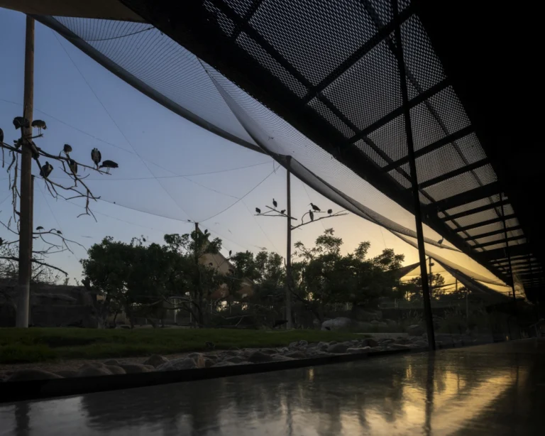Wasit Wetland Centre in Sharjah, UAE, photographed by Deed Studio, an award-winning Dubai-based architectural photography studio serving the GCC