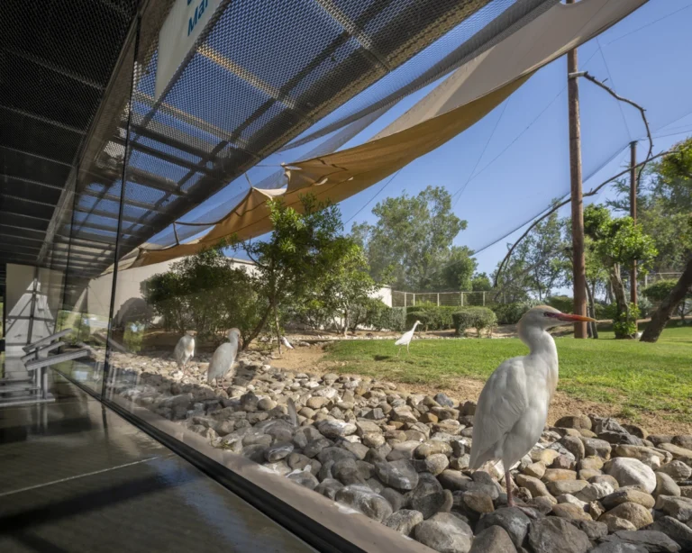 Wasit Wetland Centre in Sharjah, UAE, photographed by Deed Studio, an award-winning Dubai-based architectural photography studio serving the GCC.