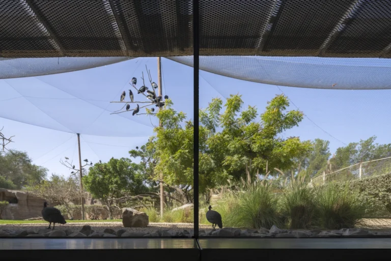Wasit Wetland Centre in Sharjah, UAE, photographed by Deed Studio, an award-winning Dubai-based architectural photography studio serving the GCC.