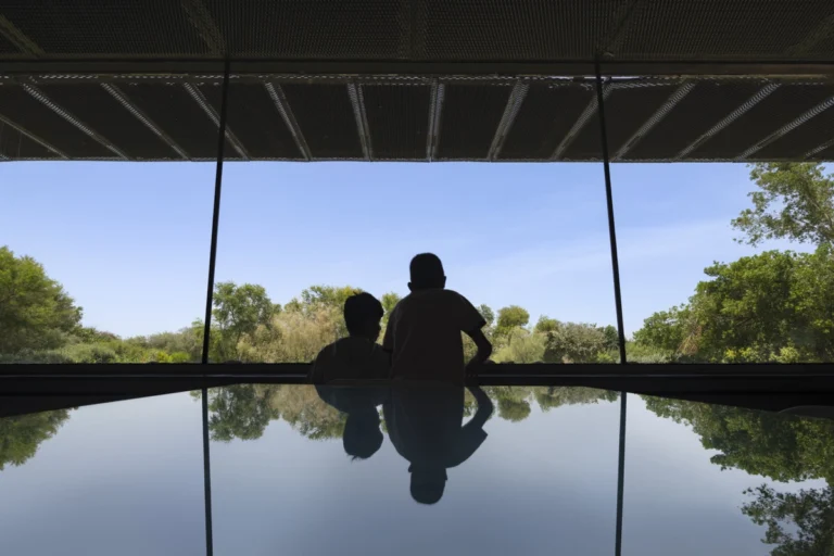 Wasit Wetland Centre in Sharjah, UAE, photographed by Deed Studio, an award-winning Dubai-based architectural photography studio serving the GCC.